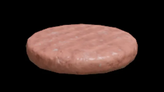 Raw Burger Patty