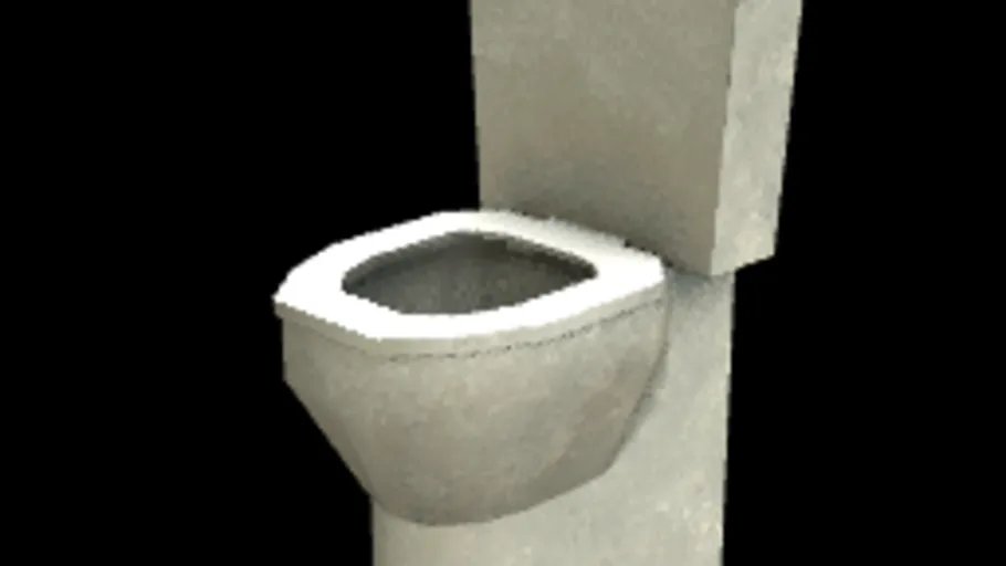 Retro Toilet