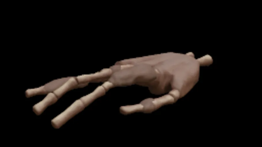 Yeti Hand
