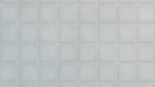 Ceramic Floor Tile Tintable