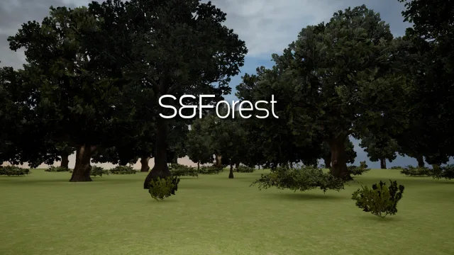 S&Forest