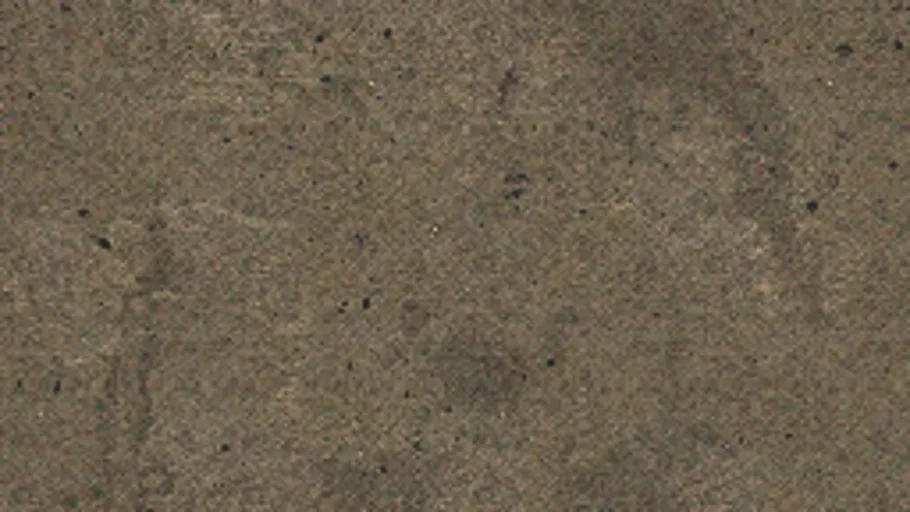 Carpet d2
