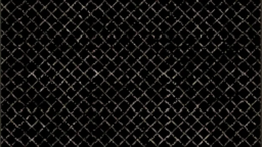 Chainlink Fence b