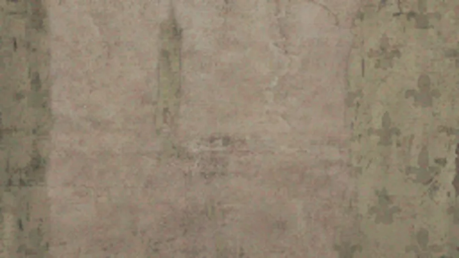 Plaster c2