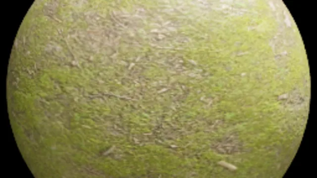 Grassy Ground