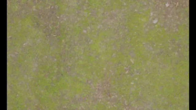 ground037_4k-jpg_color