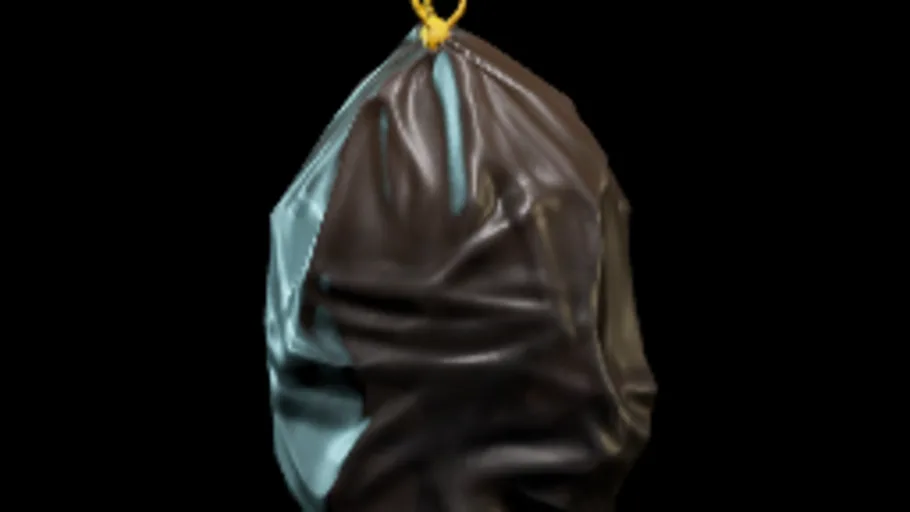 Bin Bag