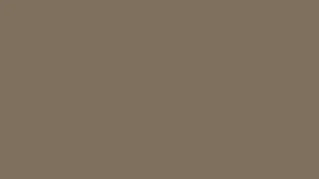 Beige Wall Rough