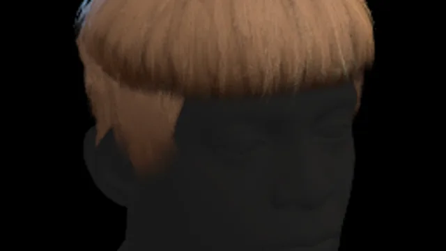 Bowl Cut Mullet
