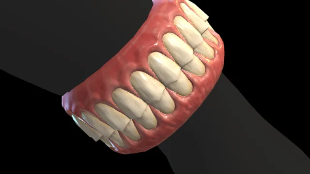 Denture Bracelet