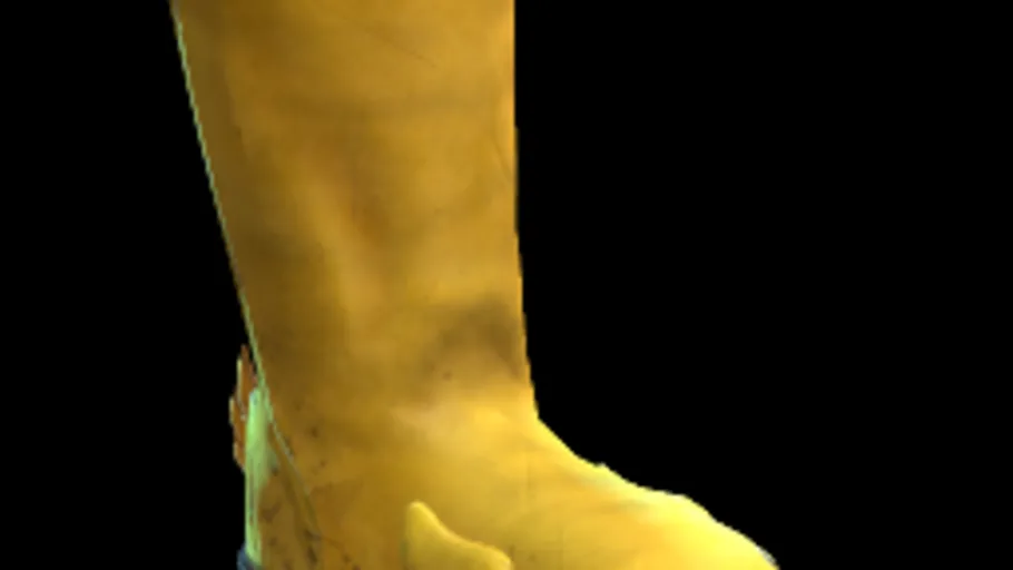 Duck Rain Boots