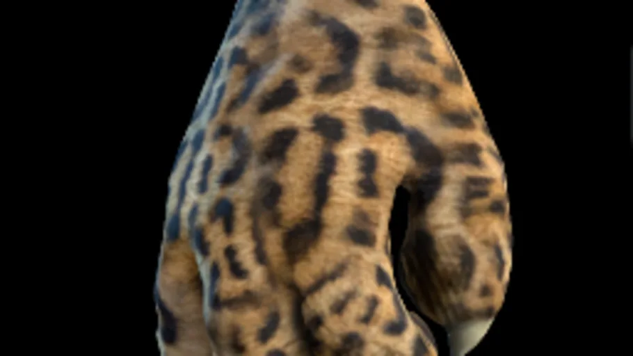 Leopard Paw Gloves