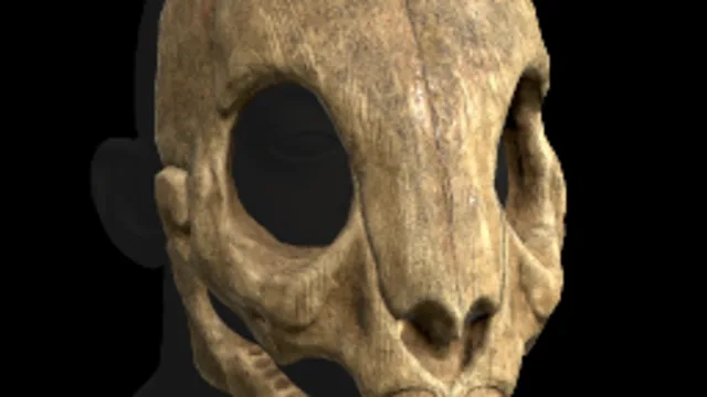 Rabbit Skull Mask
