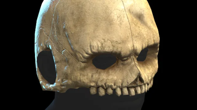 Skull Helmet