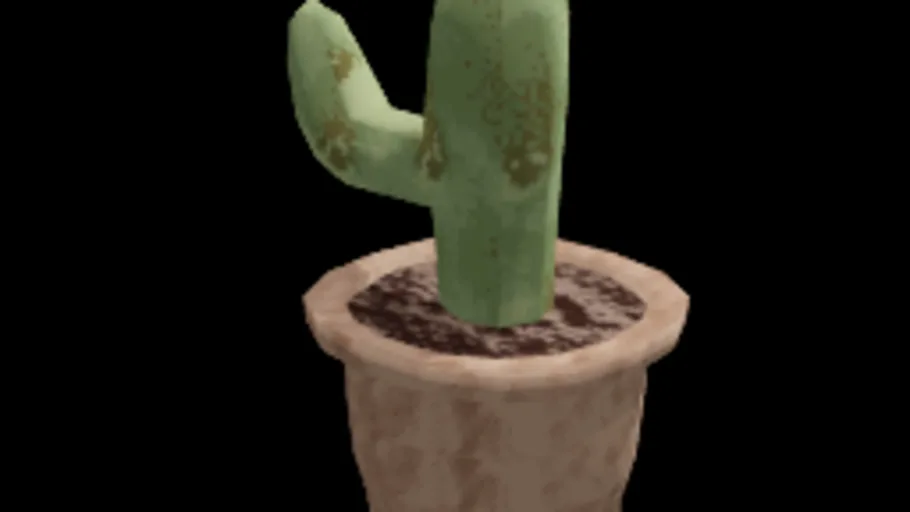 cactus pot