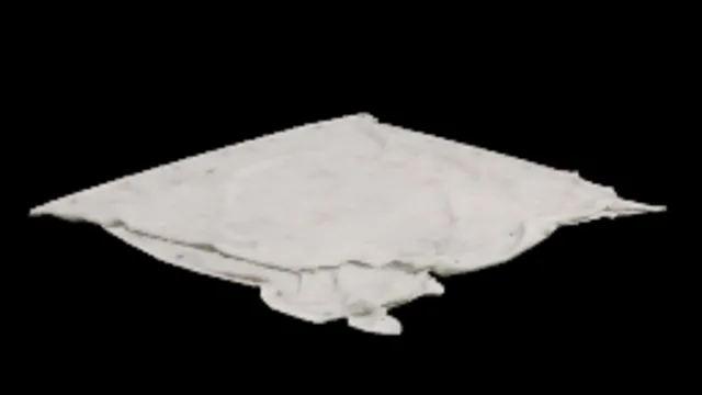 Tarp B