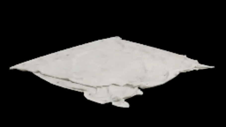 Tarp B
