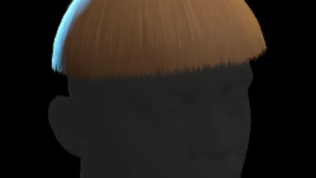 Bowl Cut