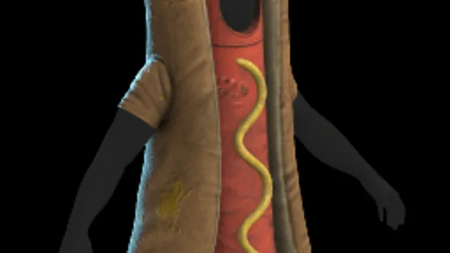 The Hotdog Costume