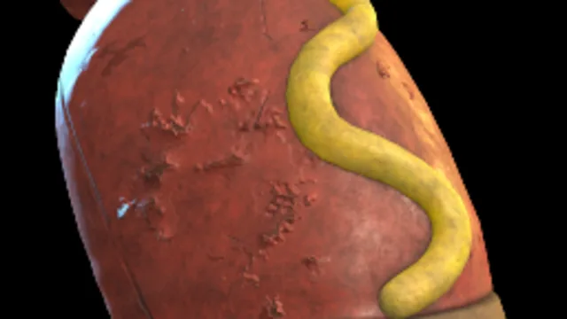 Wage Worker's Wiener