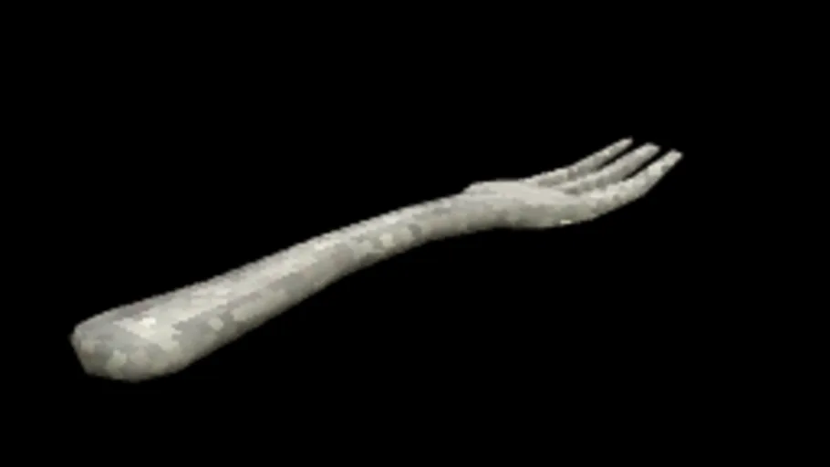 Fork