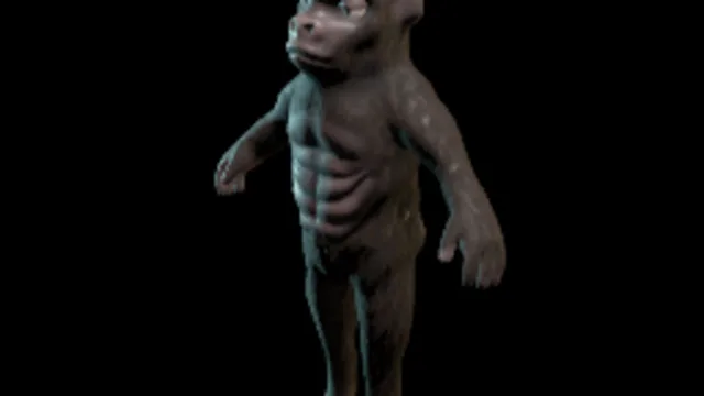 Kong