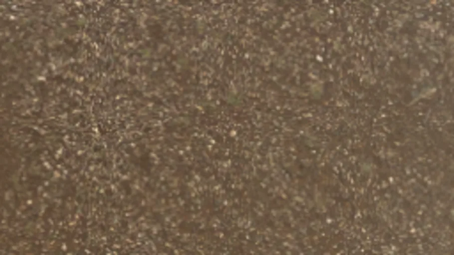 Dirt 1 Poli