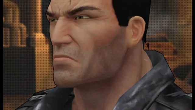 Punisher (Ragdoll)