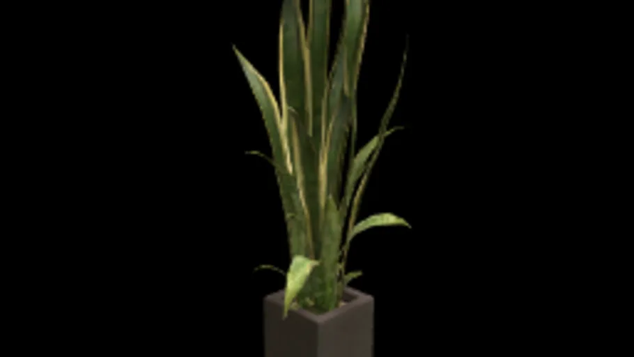 GTA 5 tall plant 01