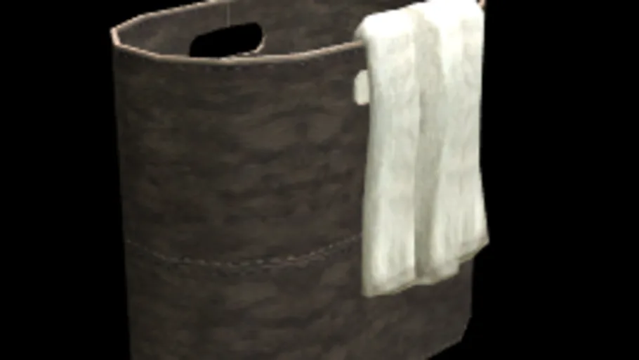 GTA 5 laundry basket
