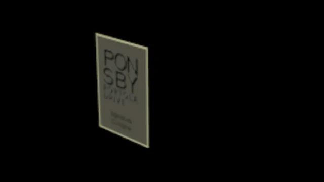 GTA 5 shampoo 02