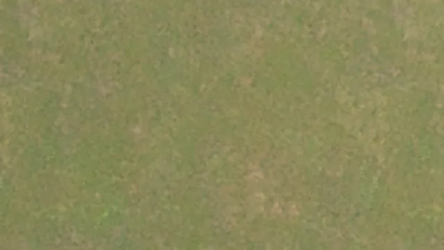 grassfloor001a
