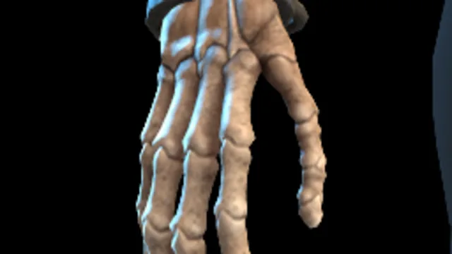 Bone Hands