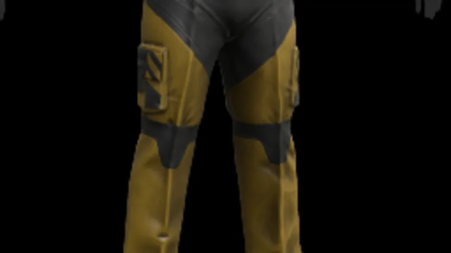 W.A.S.P Pants