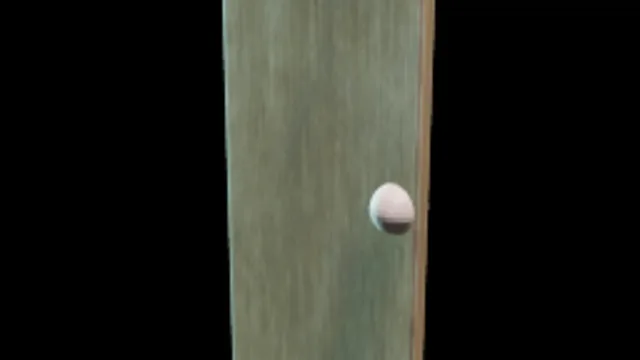 Simple Door