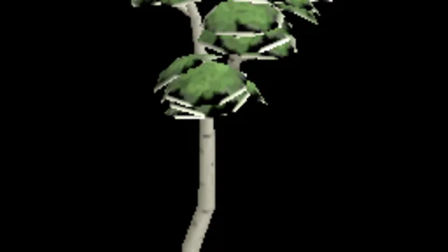 Birch 2