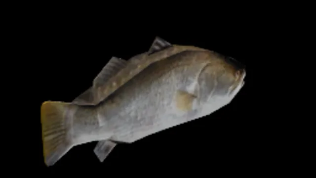 Fish Anton