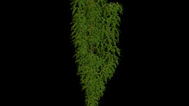 Weed big