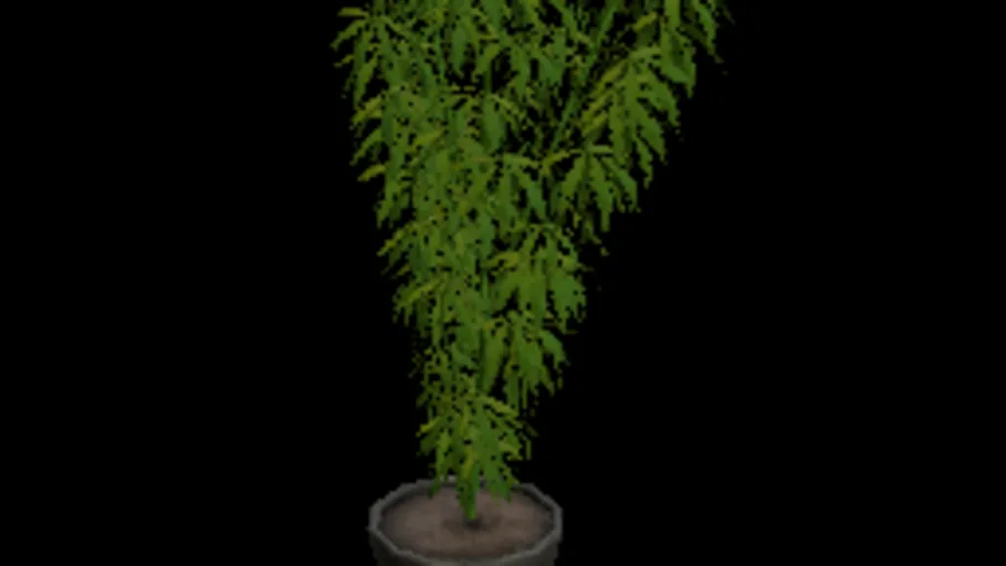 Weed medium