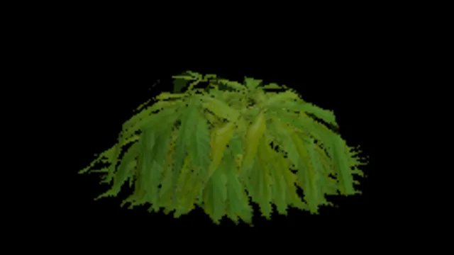 Weedpile