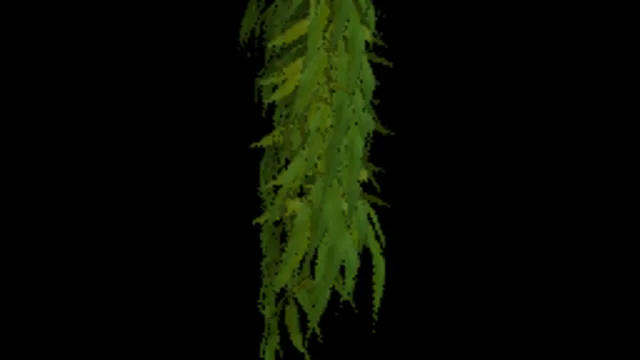 Weedrack