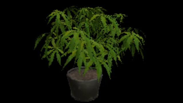 Weed small