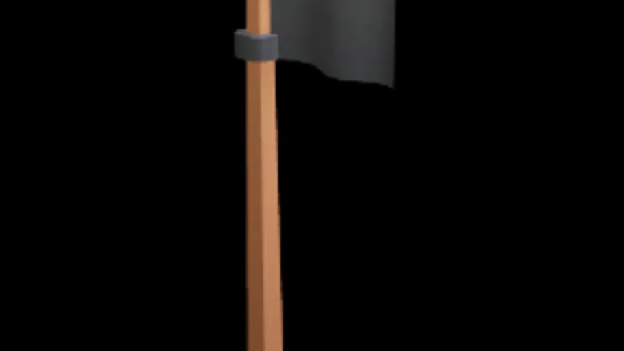 Flag Pirate High