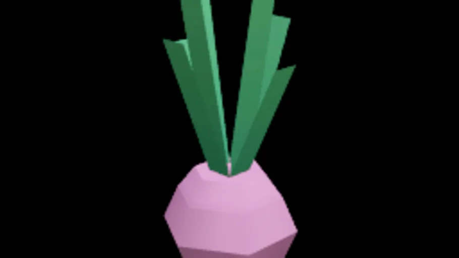 Beet