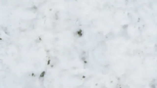 Snow Large