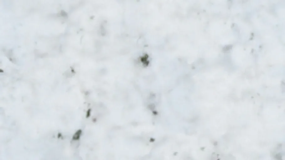 Snow Large