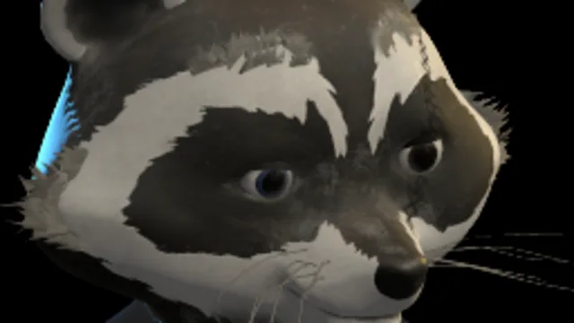 Raccoon Head