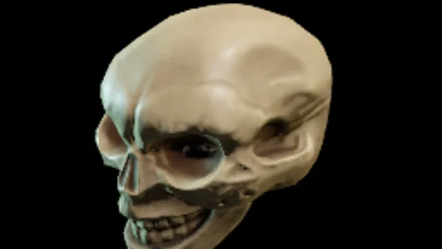 skull