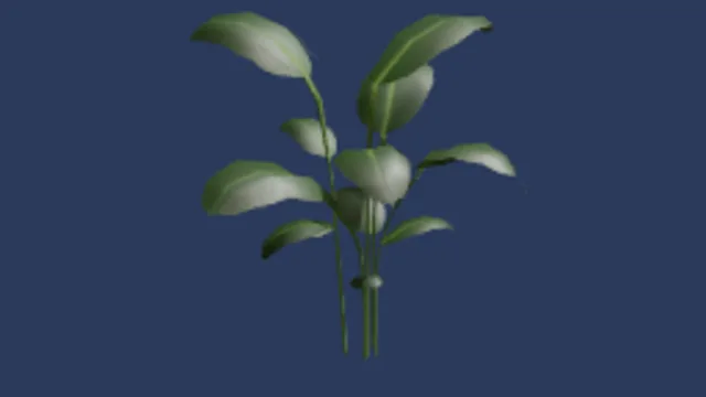Big Leaves