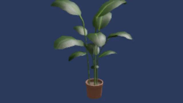 Office Plant